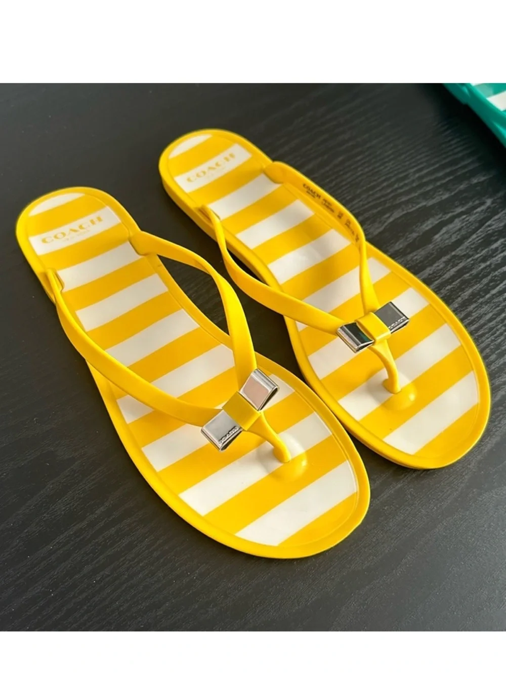 Coach Striped Jelly Sandals
